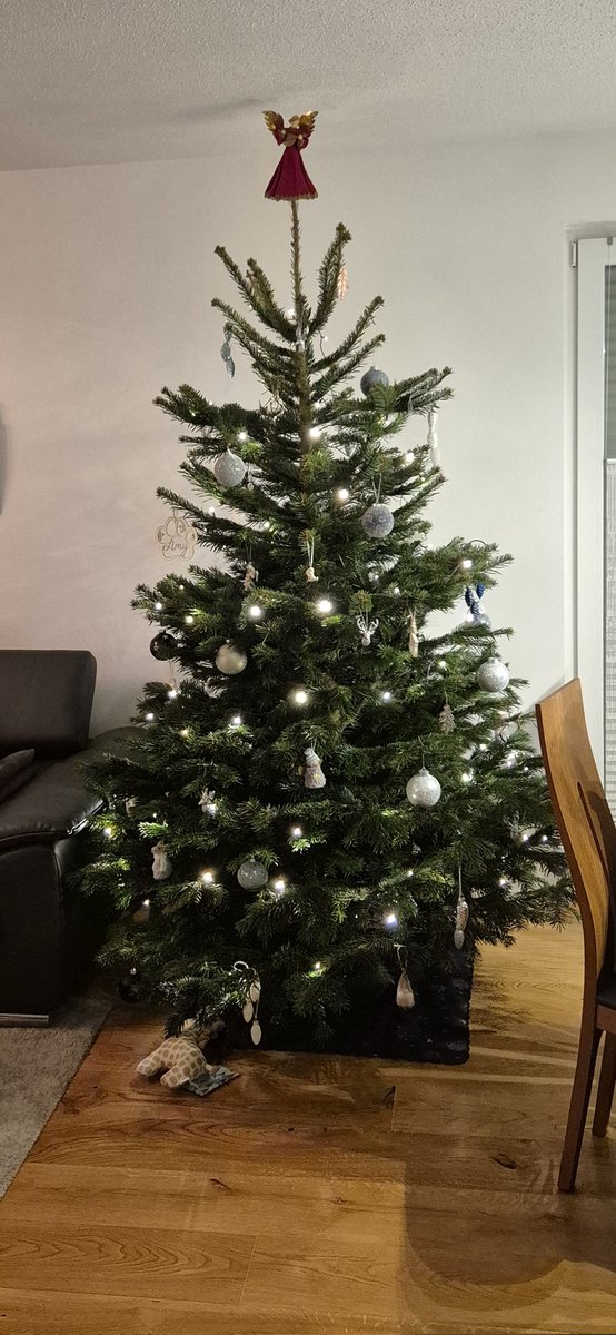 Ich wünsche euch allen fröhliche und schöne Weihnachten 🎄.  Habt erholsame Feiertage. ❤️