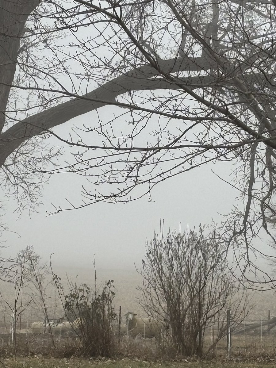 firefighter89's tweet photo. The fog is not letting up. Taken at 12:15pm #ButlerCountyNE @NWSOmaha @RustyLord https://t.co/ldvlIL1sU8