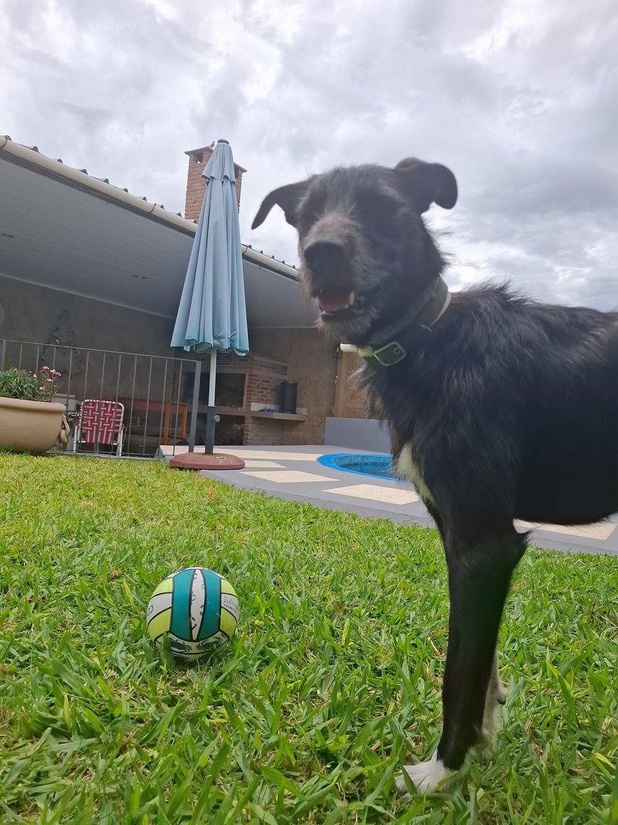 Paula (@pga____) on Twitter photo 