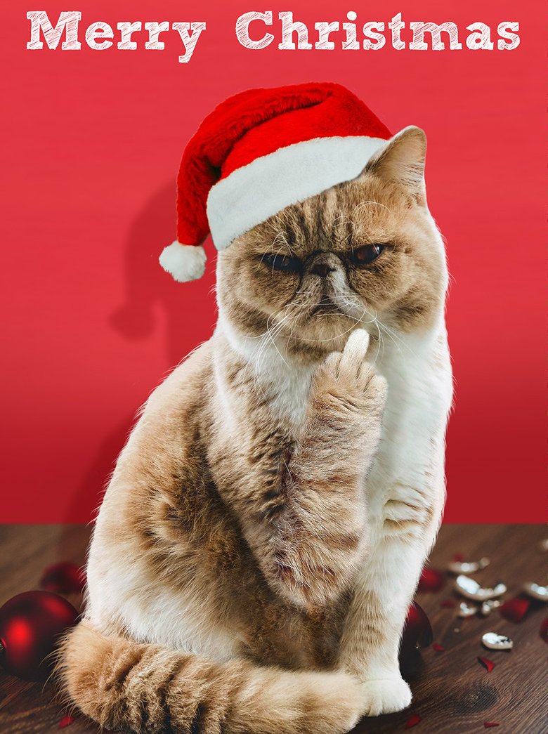 Claire ⚽🔴⚪🖤 tweet media