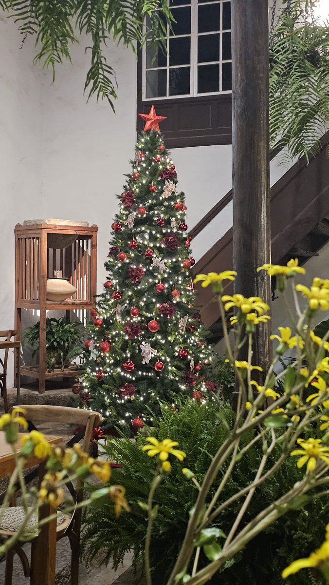 El equipo de CASA MUSEO les desea una BONITA NOCHE y una FELIZ NAVIDAD :)