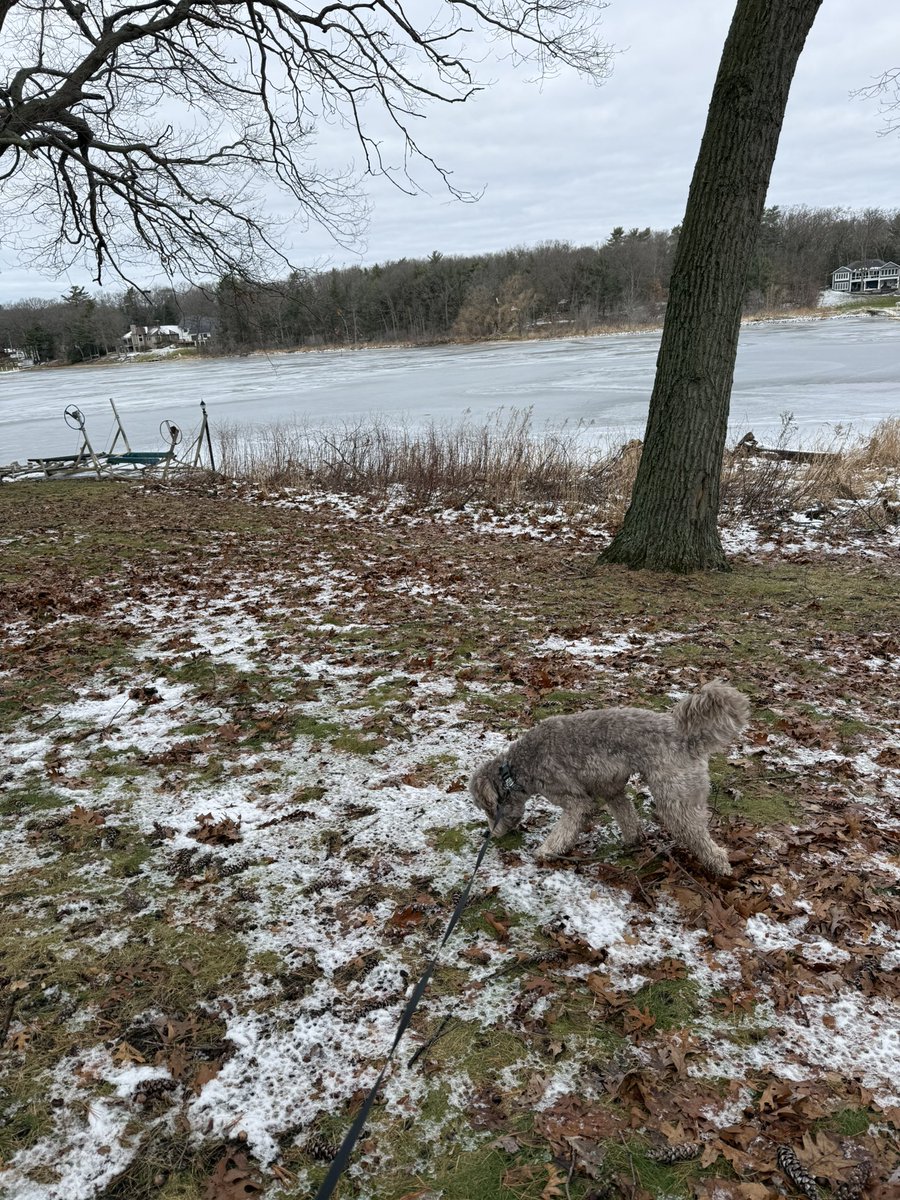 karrie_joy's tweet photo. We needed a couple miles with clear sidewalks, a clear mind, and grateful heart! And now I’ll be stirring the roux for gumbo for the next 3 hours as my upper body workout for the day! 💪🏻😂
#alwayswithme
#smilingismyfavorite
#chooseyoueveryday
#choosehappyeveryday
#moretoday https://t.co/IzPXyoJdnt