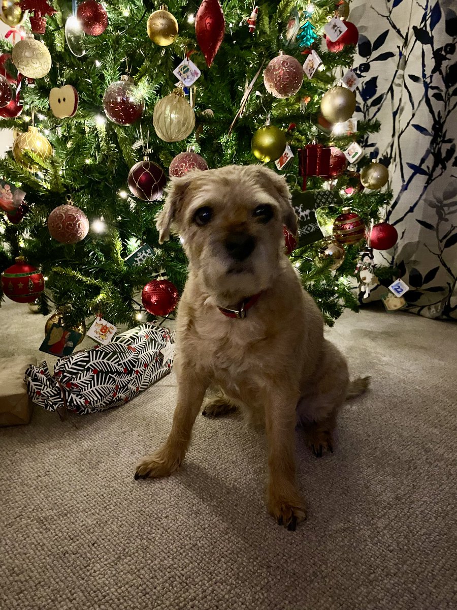 Merry Christmas to all the #BTPosse 
Remembering all the legends &amp; love ones that have crossed the 🌈 bridge too 💔❤️