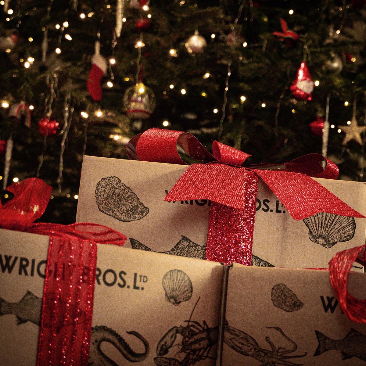 'Twas the night before Fishmas...

Thank you for all your continued support over the festive period! We're wishing you all a very merry Christmas.  

WB family 💙