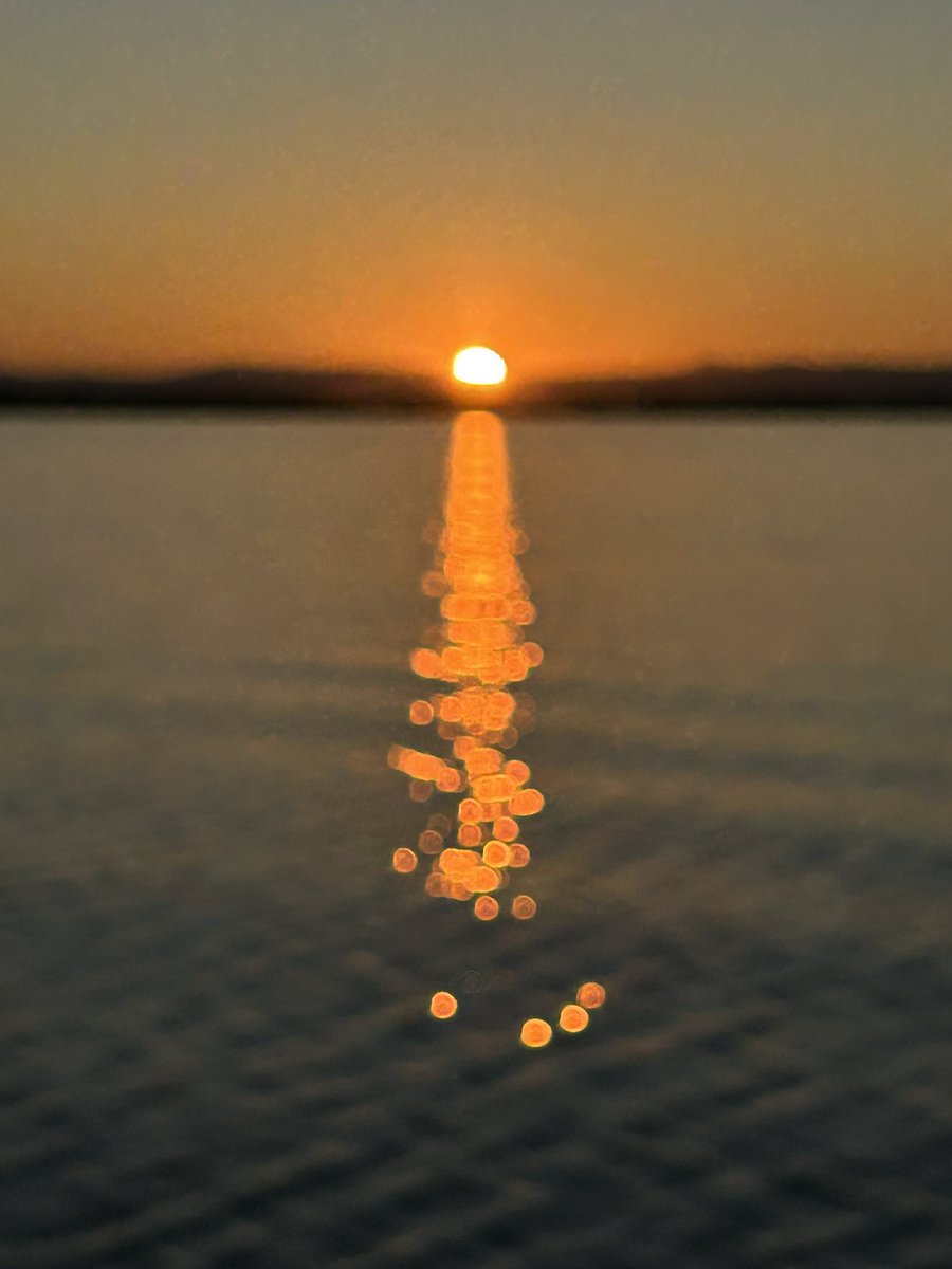Puesta de sol en la Albufera de Valencia. Calma y paz, un entorno maravilloso