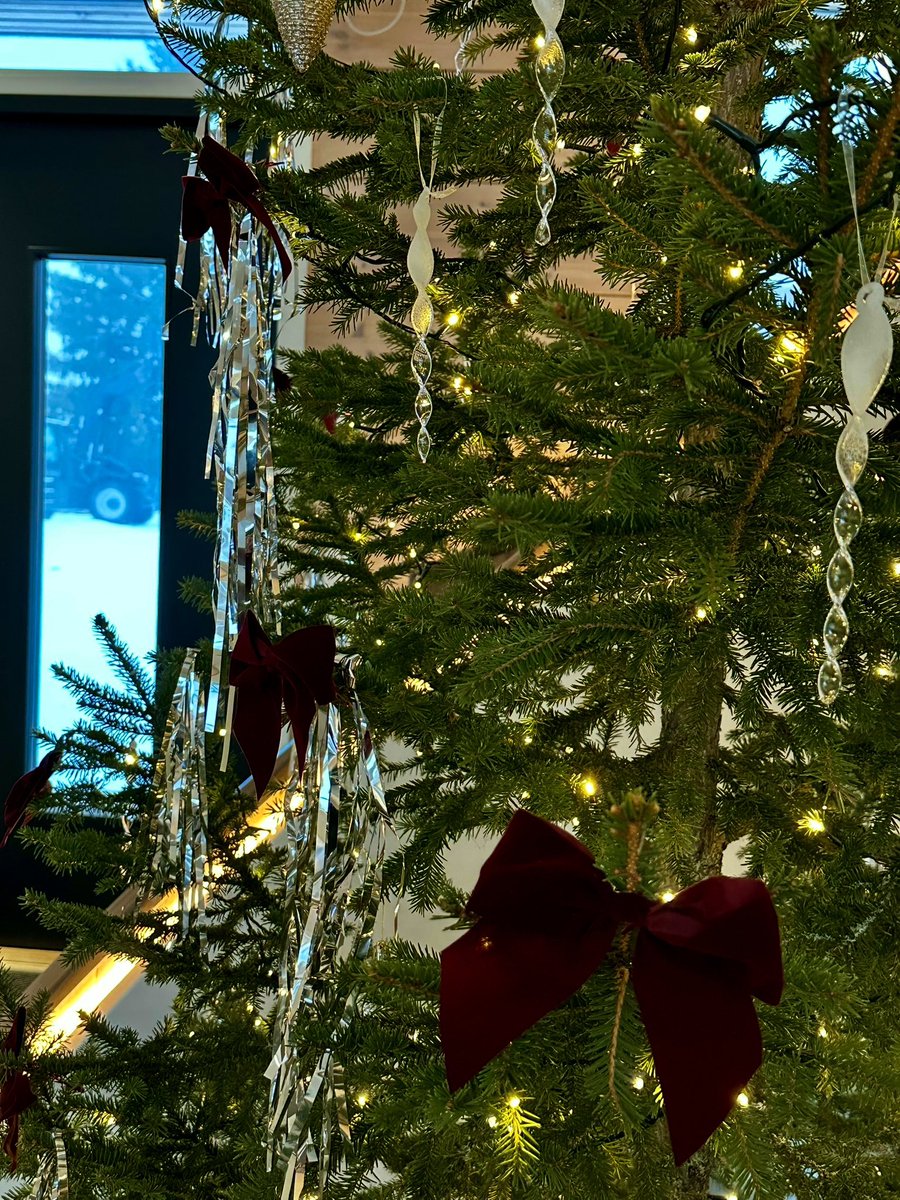 Hyvää Joulua! Öitä on monta, mutta joulu on vaan kerran vuodessa, ja sen tähden iloitkaamme nyt. - Aleksis Kivi