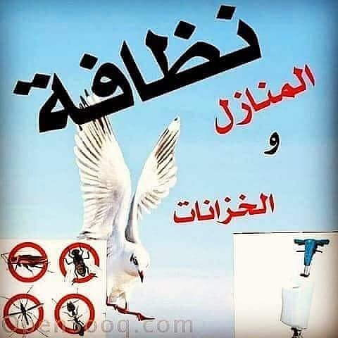 شركة عوازل خزانات وأسطح كشف تسربات بالرياض tweet media