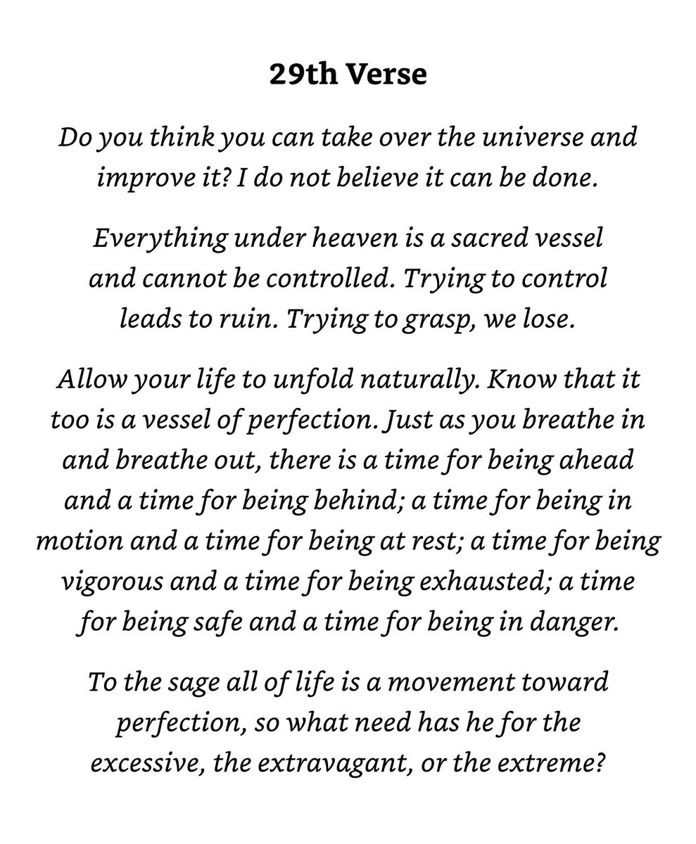 bootello's tweet image. 