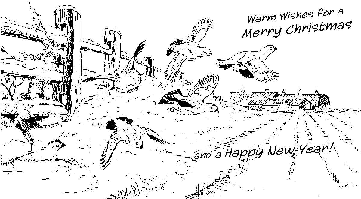 Friendsocf's tweet photo. We just saw a Willow Ptarmigan fly by the barns this morning! Enjoy the trails this holiday season!
Sketch by Mark Ross, ADF&G.
#creamersfield #alaska #fairbanks #ptarmigan #happyholidays https://t.co/g7cJrxvmh1