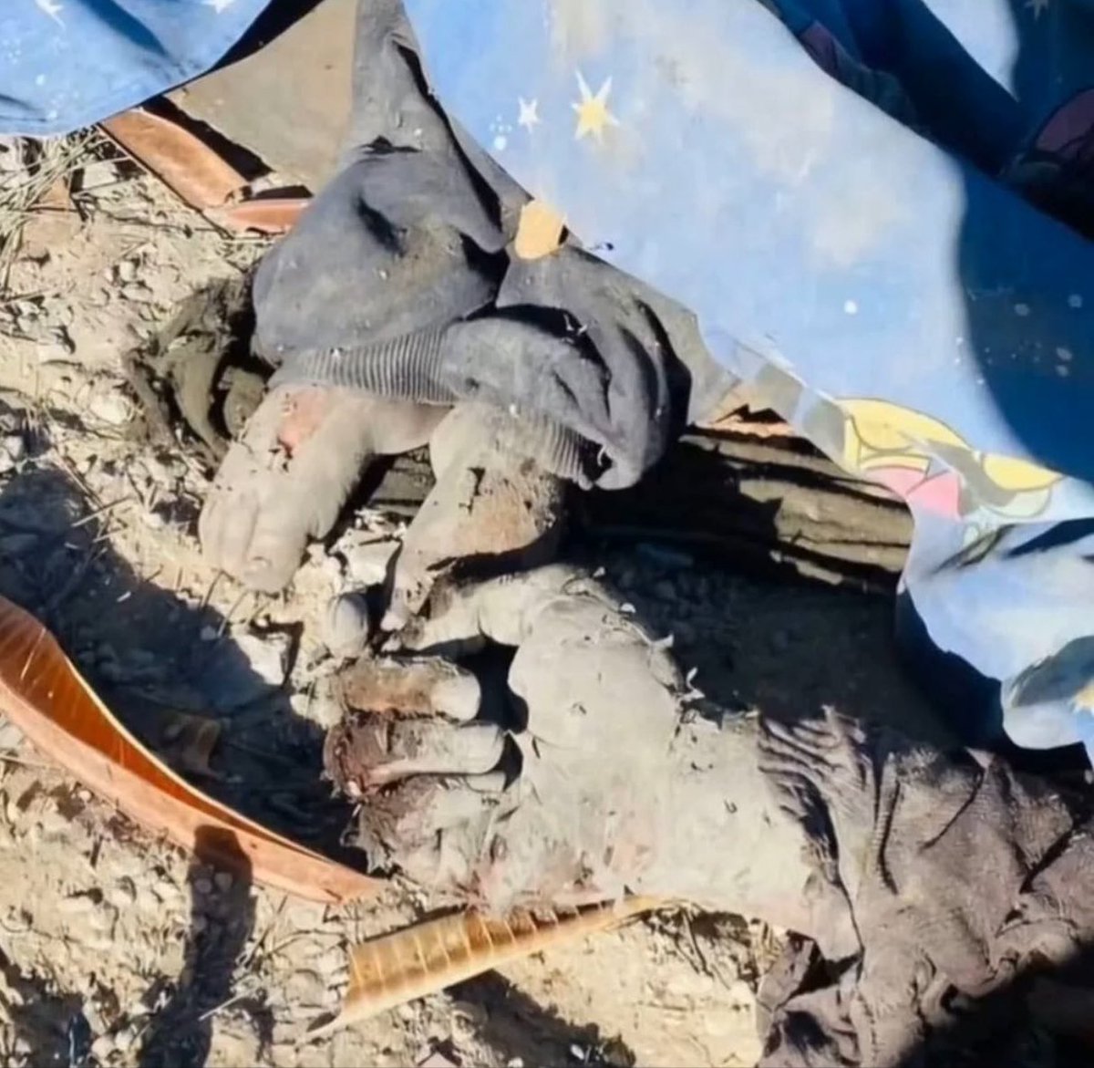 راحتولوژ tweet media