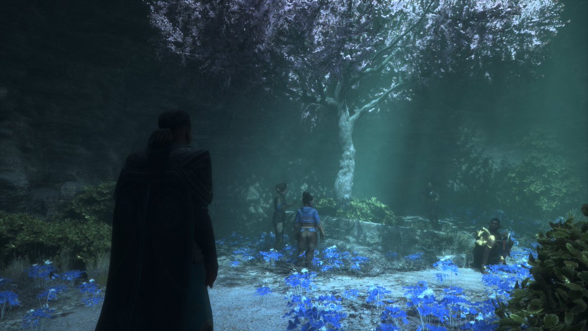 AyushRLgaming's tweet photo. #XboxShare #DragonAgeVeilguard #DragonAge #FrostbiteEngine #VirtualPhotography https://t.co/9TwCcrgsZr