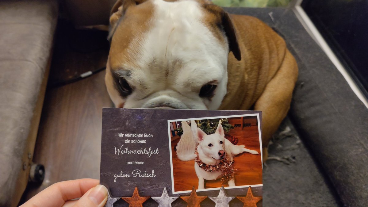 Frauchen war vorhin nochmal beim Briefkasten und tatsächlich ist heute auch noch eine Karte gekommen! Danke liebe <a href="/__Mayaline__/">Maya</a> !