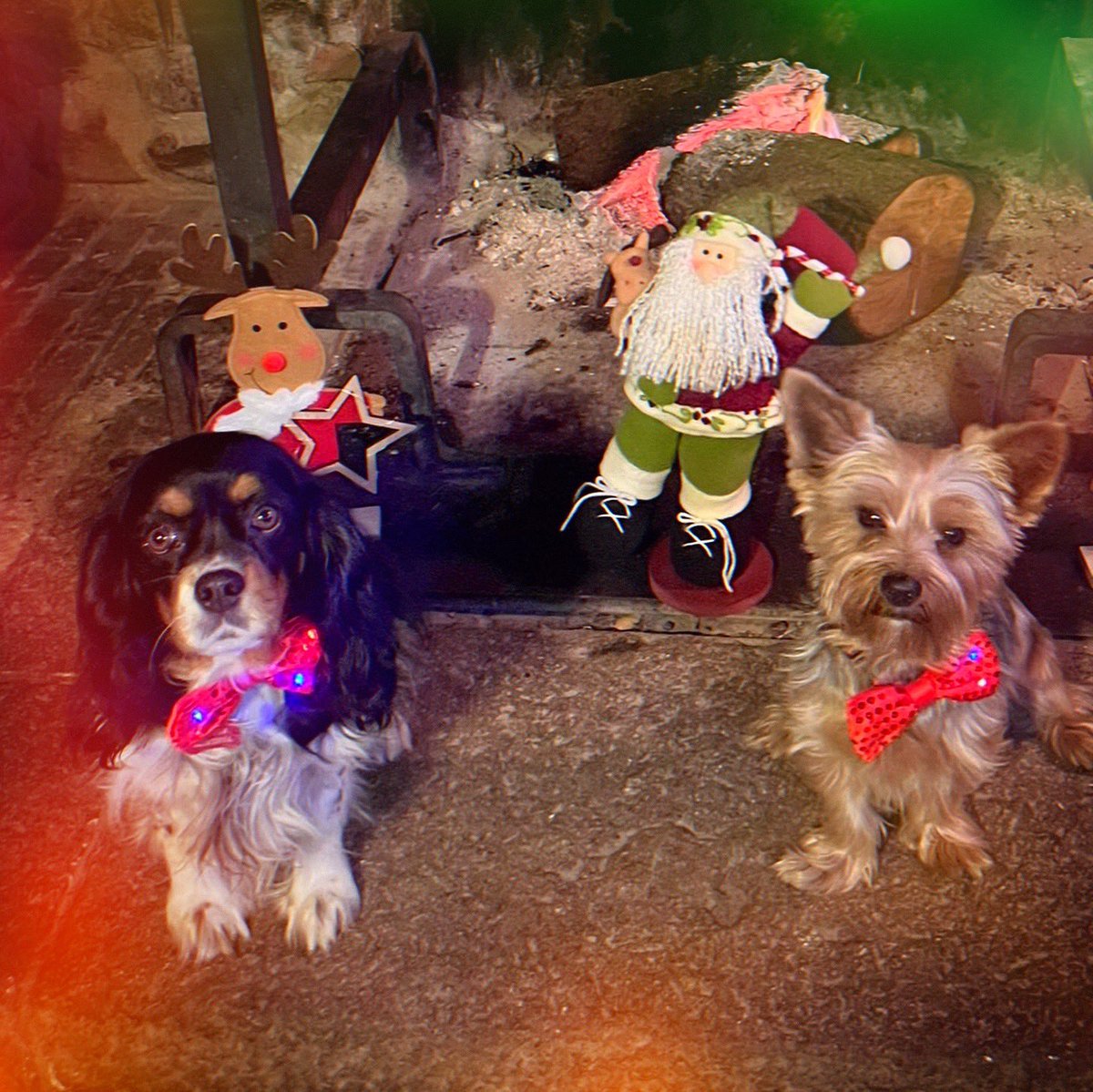 marcvidal's tweet photo. Sin los tuyos no hay reino que valga la pena. La familia lo es todo. Feliz Navidad mi gente 💕🎁🥂 https://t.co/Lu6Zb8e7xO