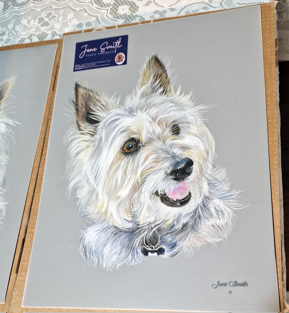 JACK BovverBoy 🐕 tweet media