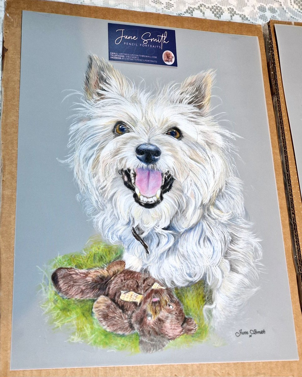 JACK BovverBoy 🐕 tweet media