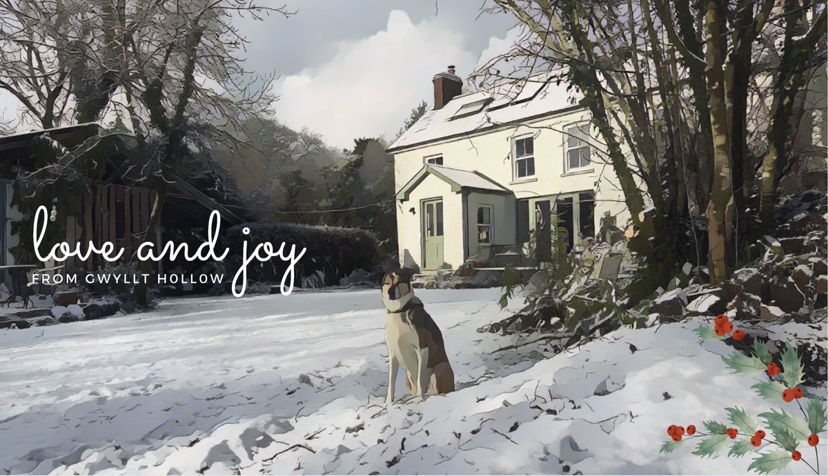 WildlifeKate tweet media