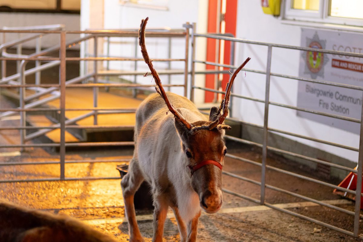 BlairgowrieSFRS's tweet image. THANK YOU 👏🎅🏻

🚗 159 cars came along 
🎁 300 Santa certificates
🍬 350 gifts from Santa
💰£850 raised for the Fire Fighters Charity 

Thank you to everyone who came along last night and made it such a magical evening for everyone involved ✨