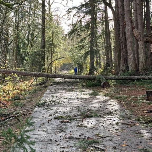 If your home or business was damaged between Nov. 17 – 25 due to the bomb cyclone, straight-line winds, flooding, landslides, or mudslides, you may qualify for a <a href="/SBAgov/">SBA</a> low-interest loan. 

Find more info at SBA.gov/disaster