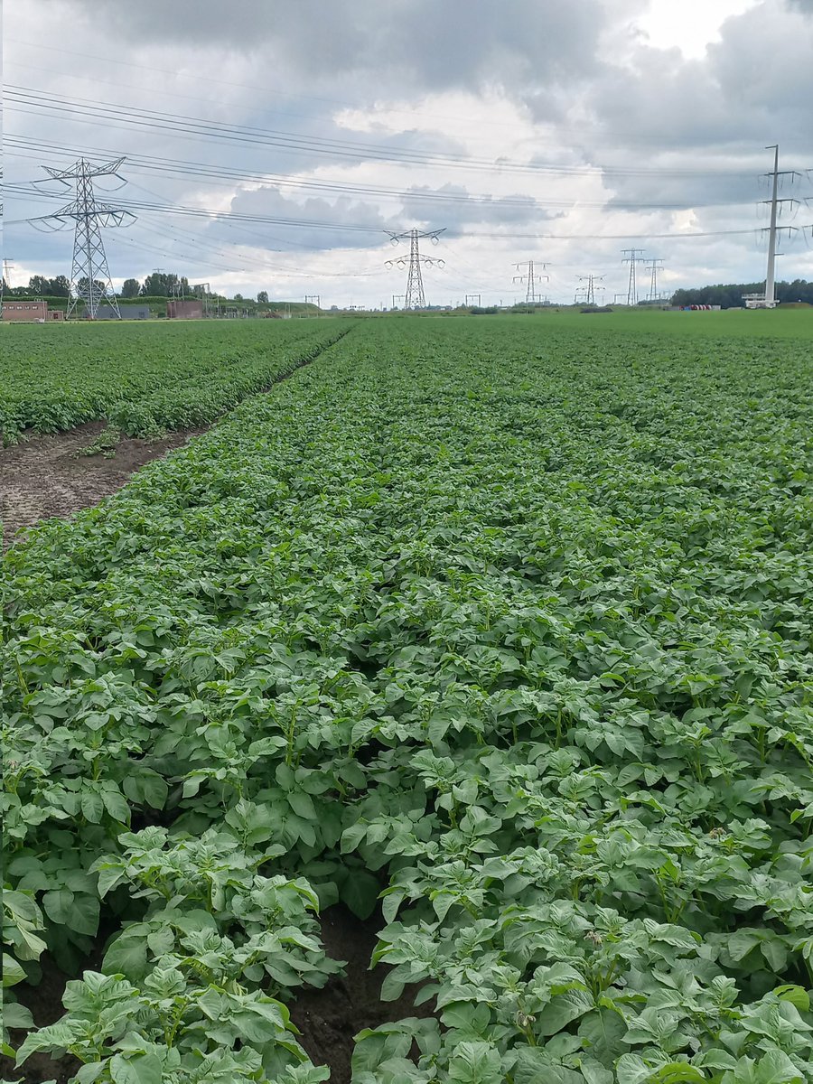 BootTonis's tweet image. Goede feestdagen gewenst!! #2024invierfotos