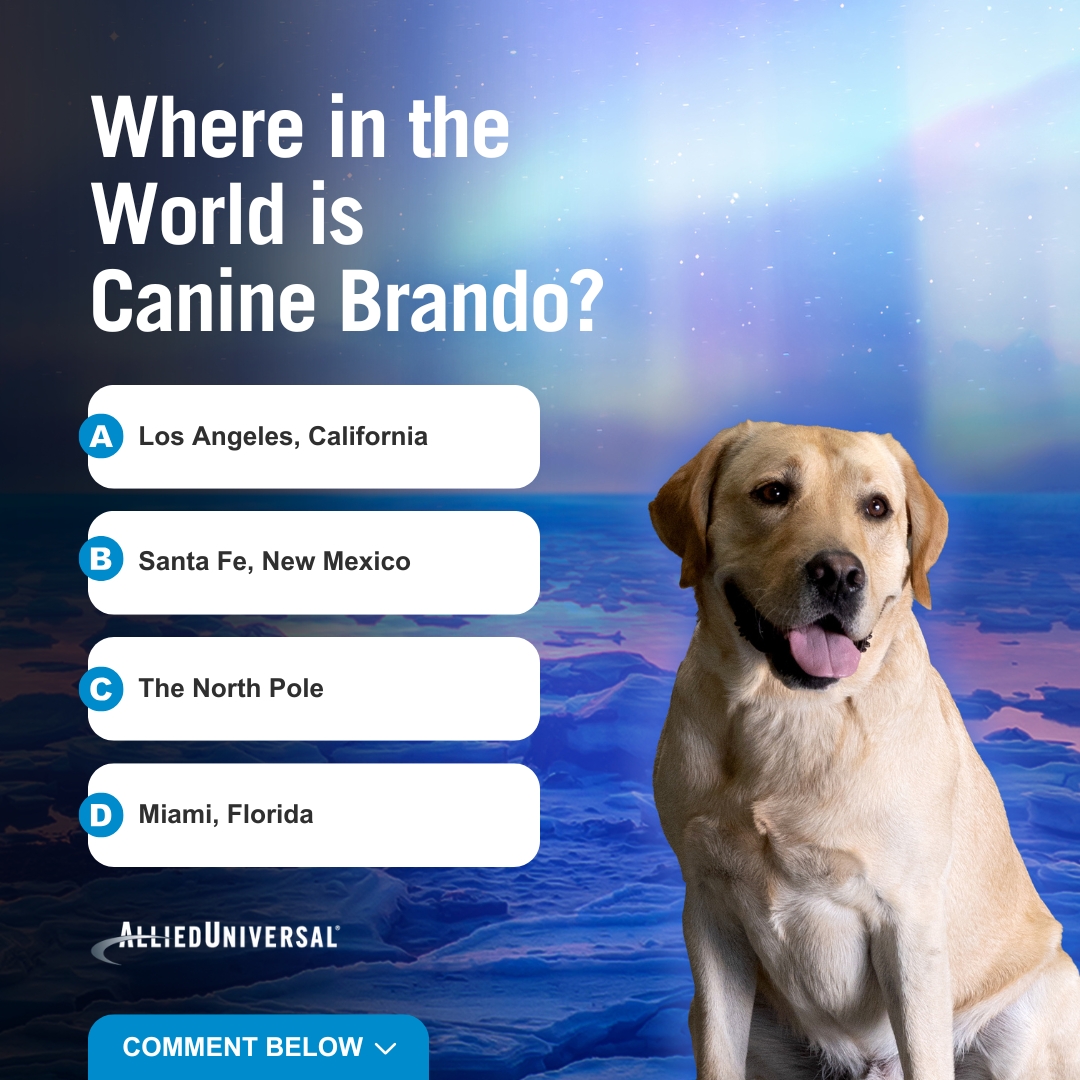 AlliedUniversal's tweet image. Canine Brando took a magical ride this December. Can you guess where Brando is putting his detective skills to work this holiday season?

Drop your guess in the comments below.

#WhereInTheWorld #Canine #CanineDetection #BombDog #ExplosivesDetection #FirearmsDetection