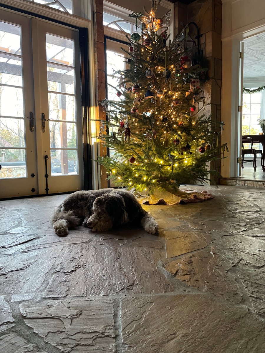 MergnerMs's tweet photo. No matter where you are, I hope this Christmas brings you joy, warmth, and precious moments with those who matter most. https://t.co/s8XzinQemE