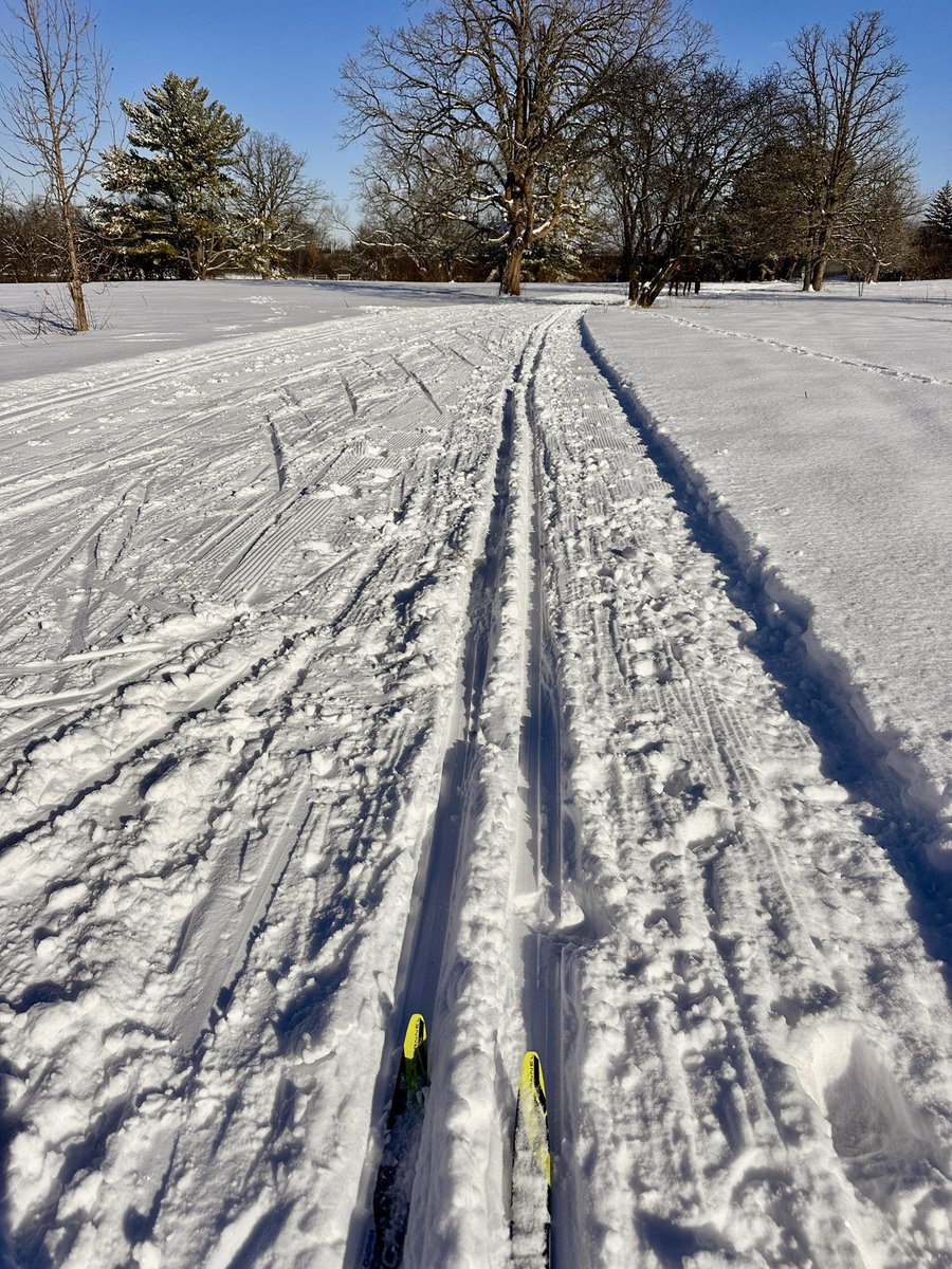 Deb Lawlor (she/her) tweet media