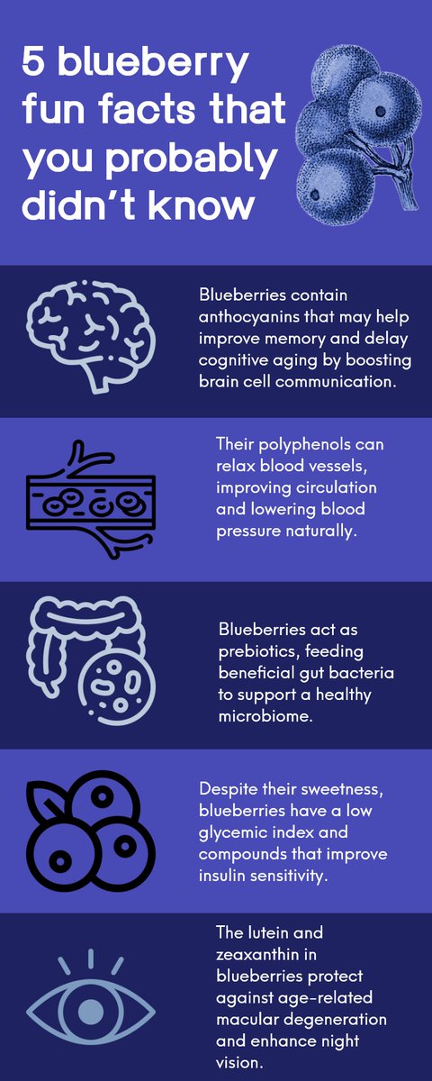 DrKristieLeong's tweet photo. 5 Surprise Benefits of Blueberries (Infographic) https://t.co/rF3gNQo0Ut