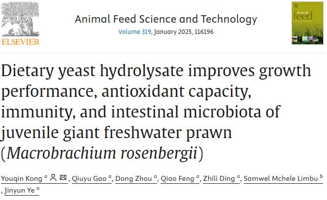 Mchele Limbu tweet media