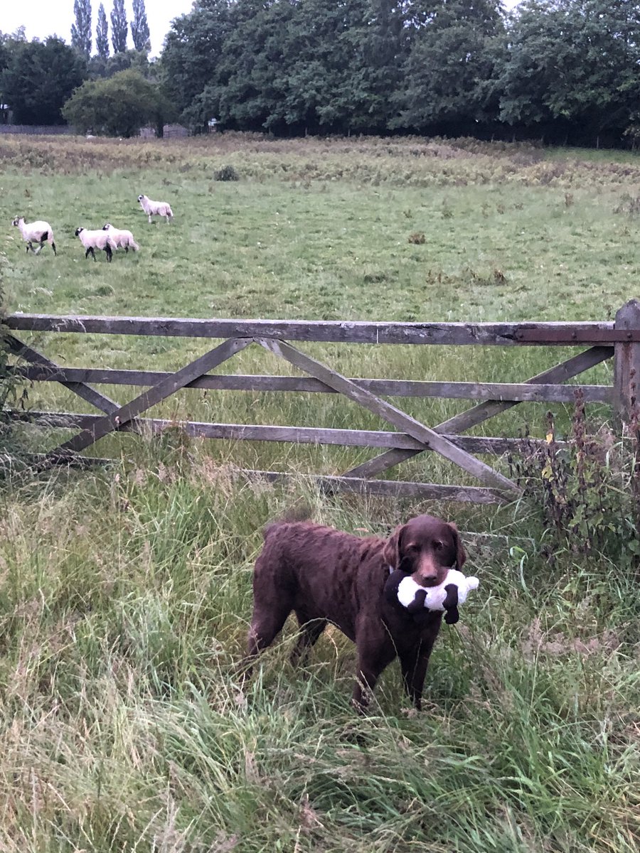 paul douglas tweet media