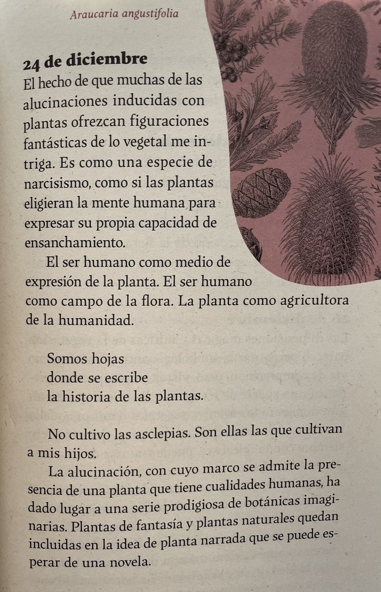 Con este fragmento de “Caminos del moriche. Cuaderno vegetal de ‘La vorágine’” de Efrén Giraldo, fechado un día como hoy de 2022, les deseamos una feliz Navidad y un 2025 próspero y vegetal, en el que dejemos que las plantas nos escriban.

#EdiciónVegetal
#LeoIndependiente
