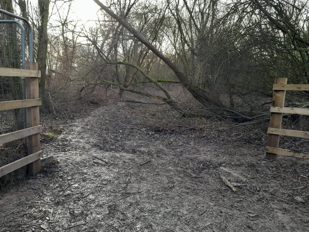 Could someone arrange for the public footpaths from new Kepax bridge towards town to be cleared? Branches down across path...
Thank you !
<a href="/myworcester/">Worcester City Council</a> <a href="/worcscc/">Worcestershire County Council</a>