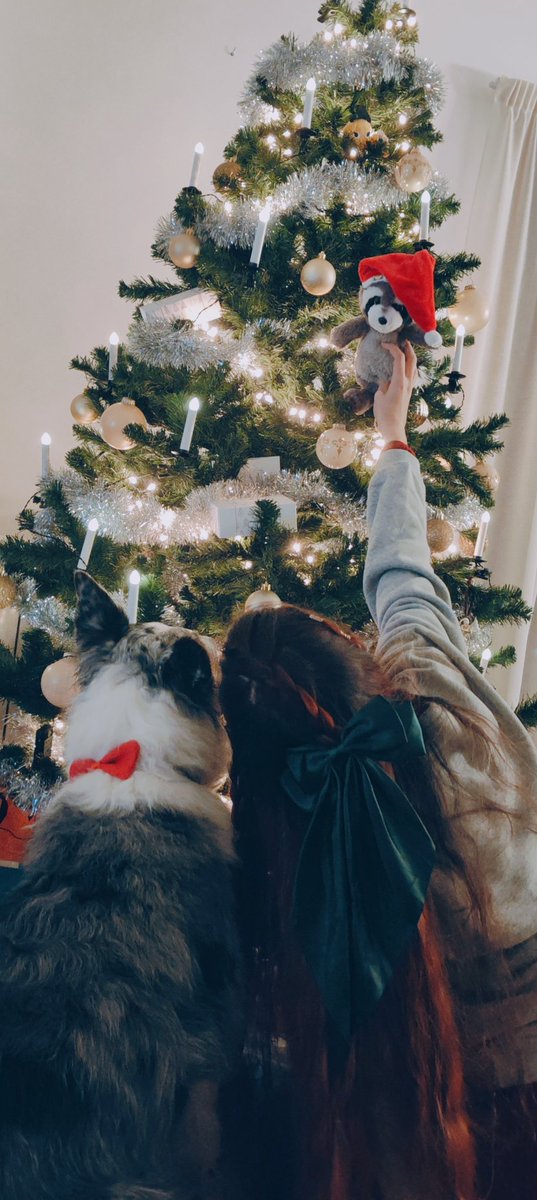 Boas festas e essas coisas!