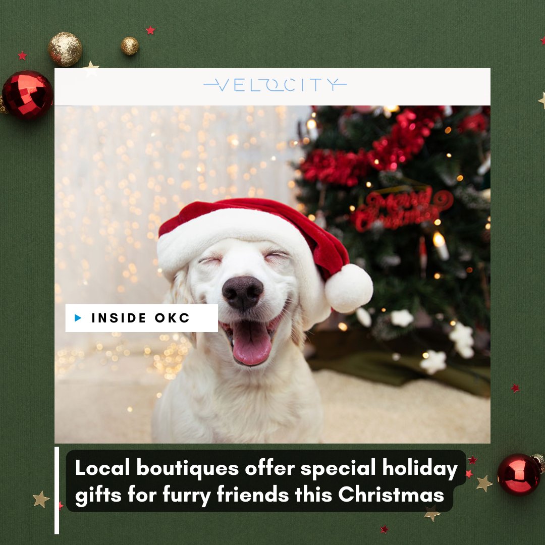 Celebrate the season of giving by treating your furry friends to something special! Check out these local pet boutiques for unique gifts.

For more details: bit.ly/3VUYu55