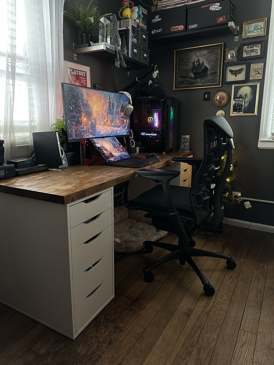 Divinity tweet media