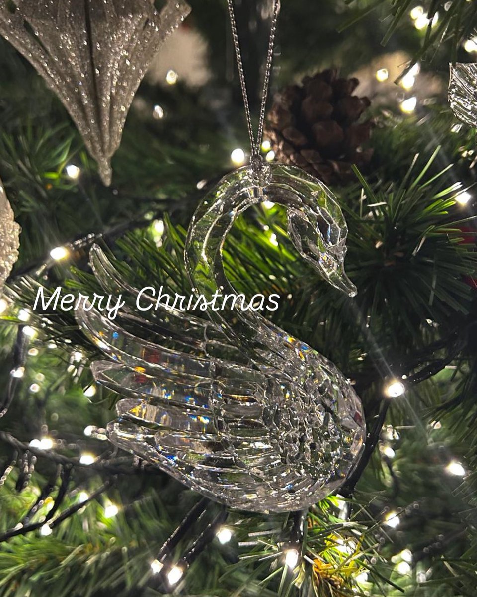 Chris Watkins 🦢🦢🦢🦢🦢 (@kcw70) on Twitter photo 