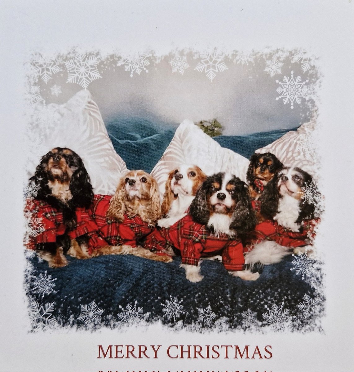 Merry Christmas to all. #MerryChristmas