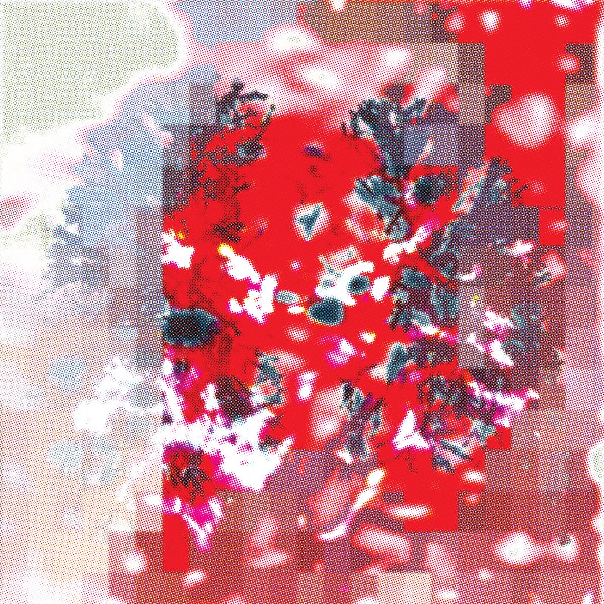 82 basses/synths from my personal sound pool ✴️🦟

 available now ⬇️