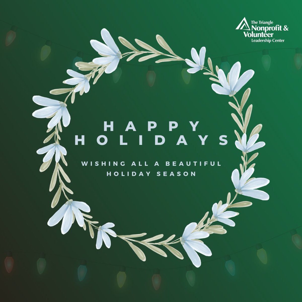 Happy holidays from all of us at TNVLC!