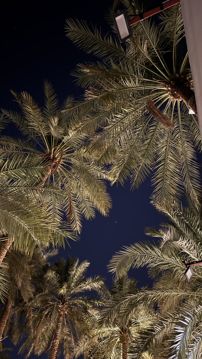 vuvrr3's tweet photo. أحس أشتقت أنزل عشوائيات. https://t.co/dazs3iNgk1