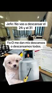 SrCronos4 tweet media