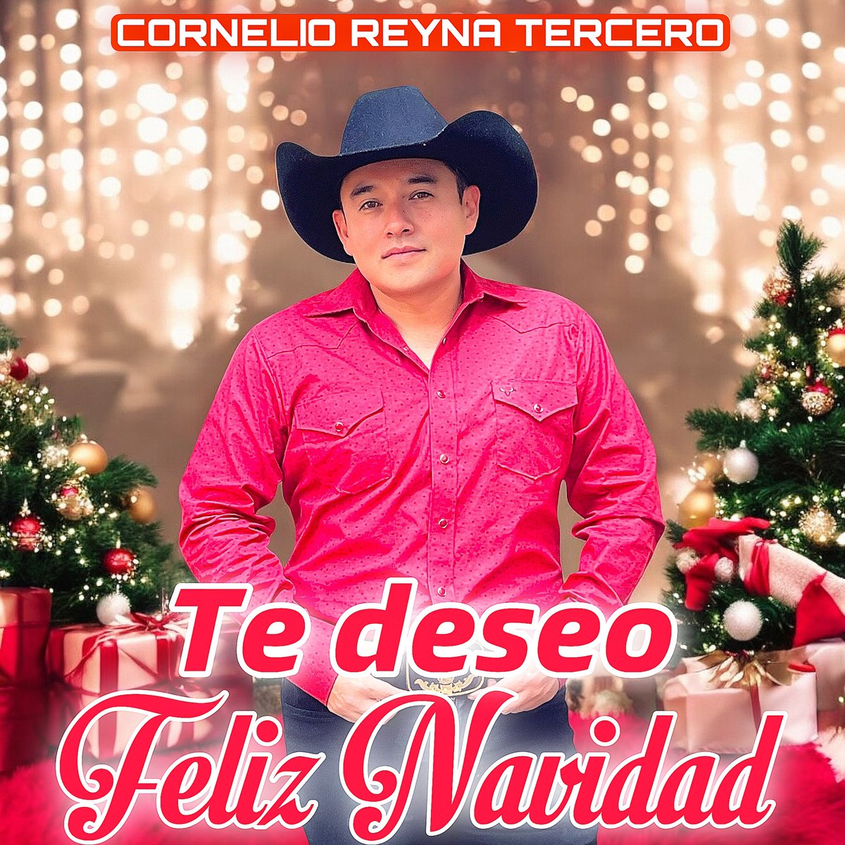 ¡FELIZ NAVIDAD!

Felices fiestas, que el espíritu de amor y paz de la Navidad te acompañe durante todo el año.

#cornelioreynatercero #FelizNavidad2024