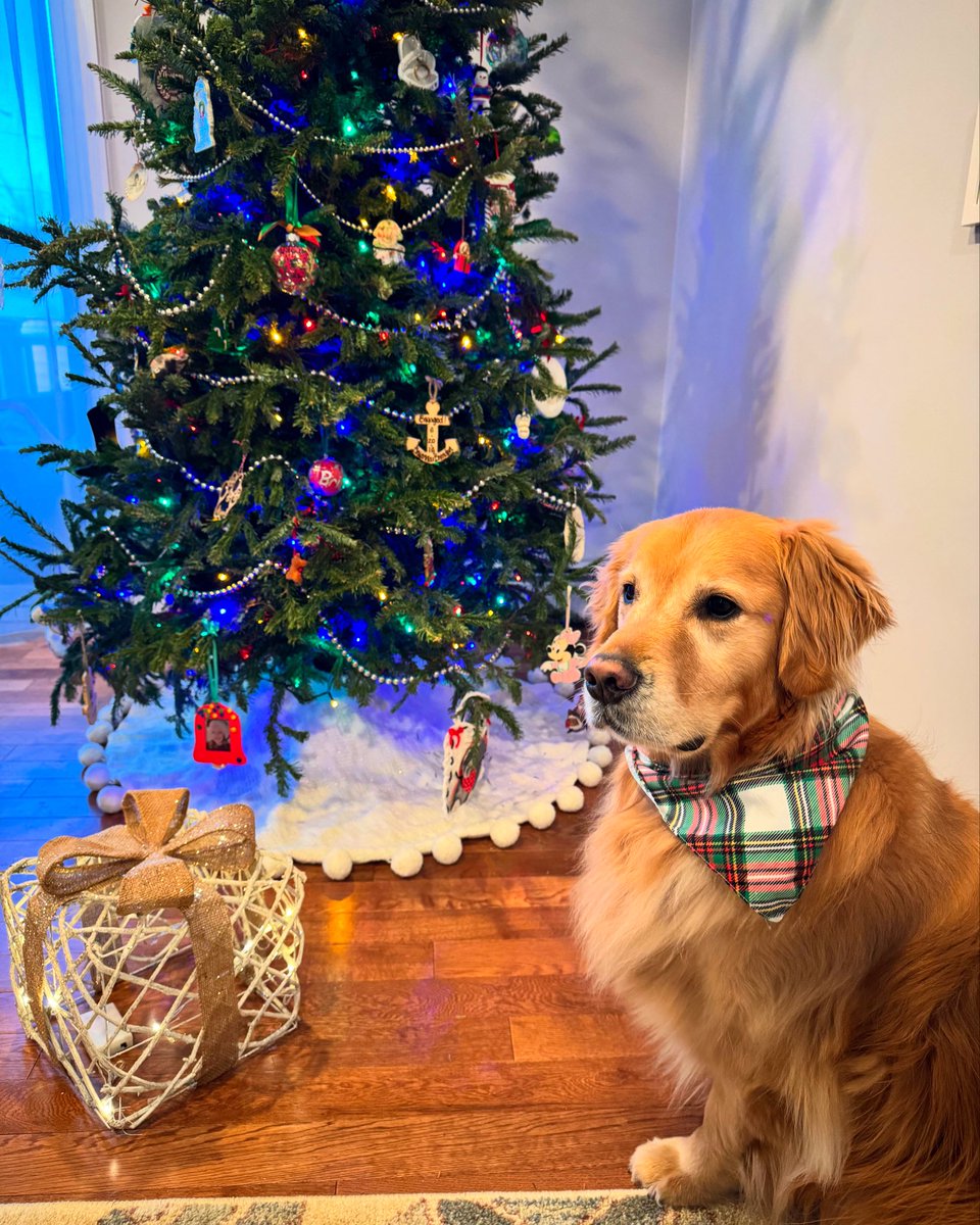 Waiting on the big guy 🎅🏻 #MerryChristmasEve