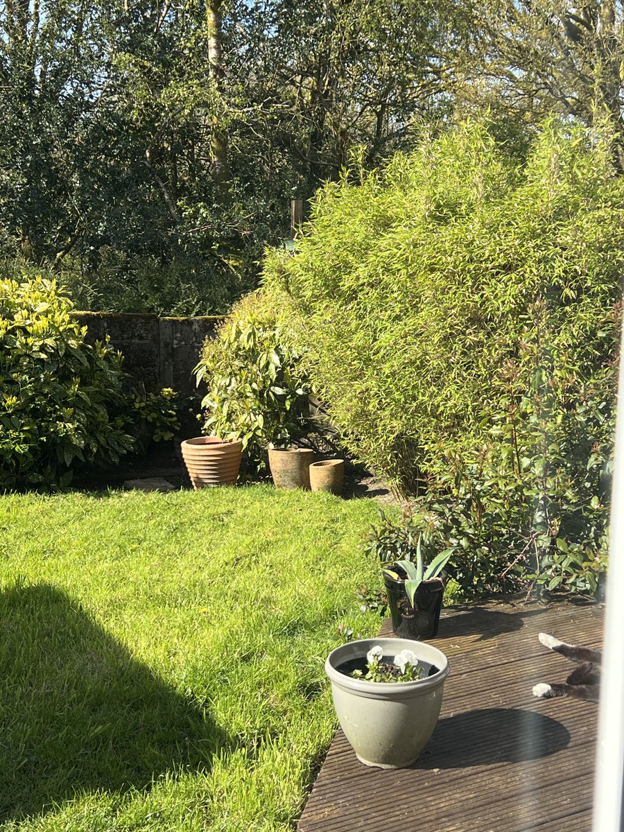 Sarah Evans tweet media