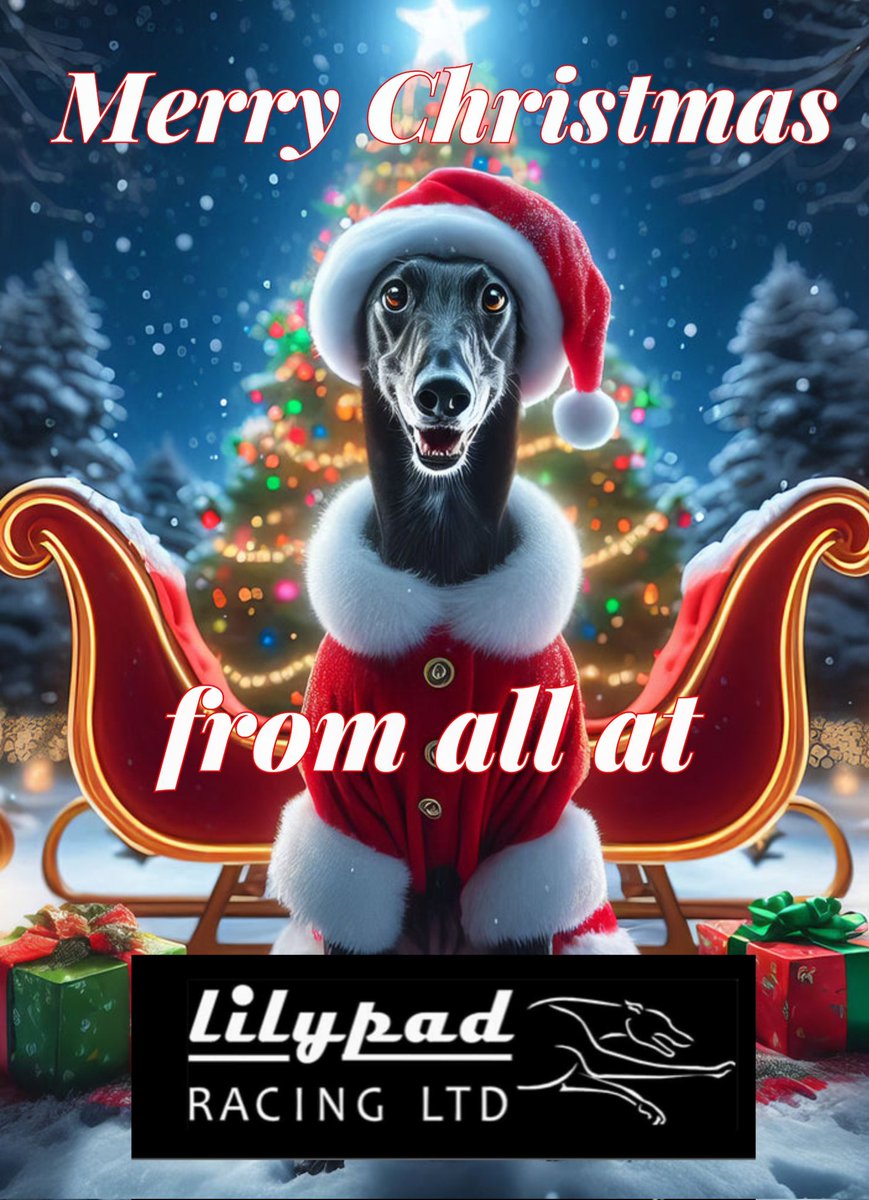 Lilypad Racing Ltd tweet media