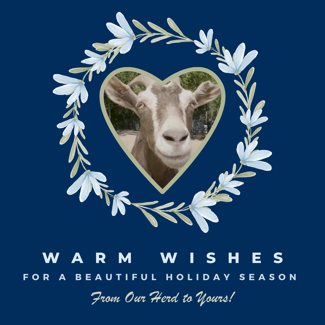 TheBarnyardNJ's tweet photo. Everyone at The Barnyard Sanctuary wishes you and your loved ones a joyful holiday season and a peaceful, happy 2025. From our herd to yours, thank you for your kindness and support—it means so much to us and the animals we care for. ❤️ https://t.co/HynxOlMtAV