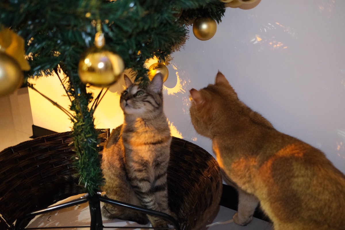 黄推福利内容 - 🐸的精彩图片 福利姬🐸分享的黄推图片2 - 网红私拍内容