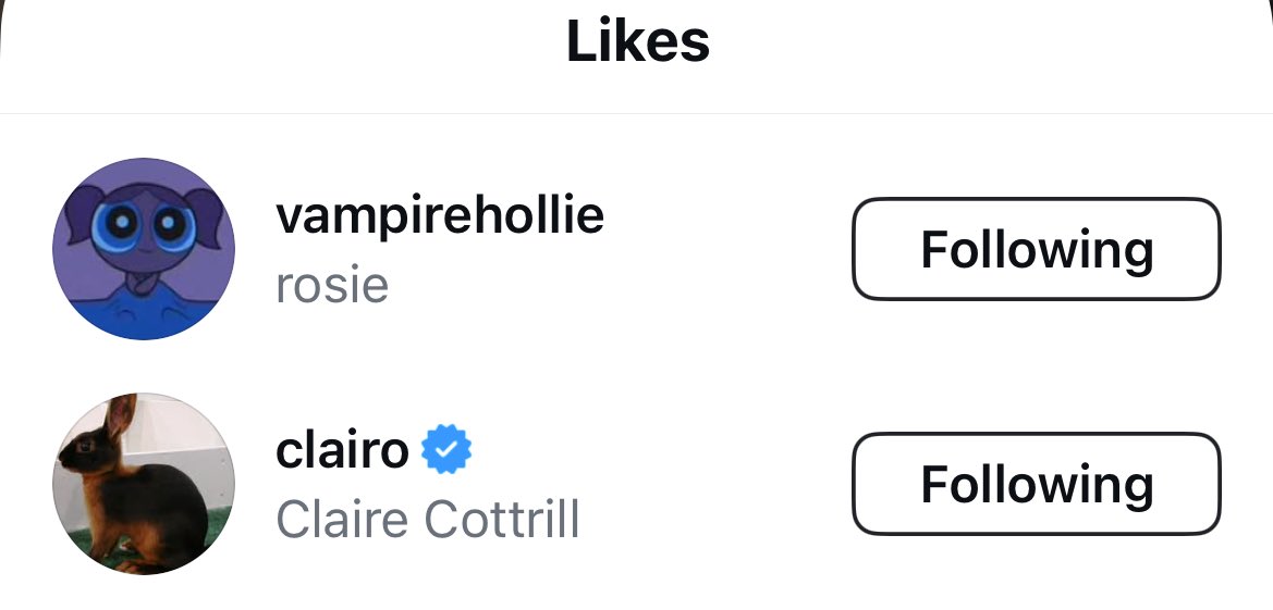 Clairo liked.🥹