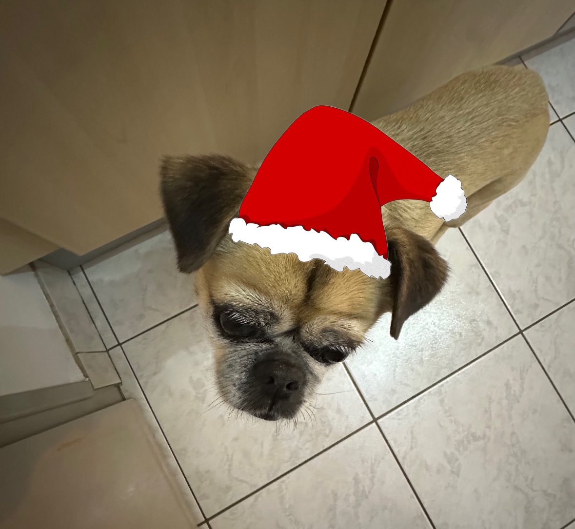 m3tamorphosi5's tweet photo. joyeux noël https://t.co/XR7ikWXv59