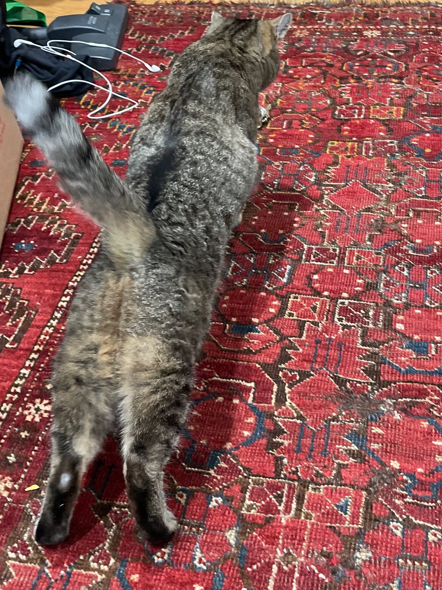 the needle-felted head of joyce carol oates tweet media