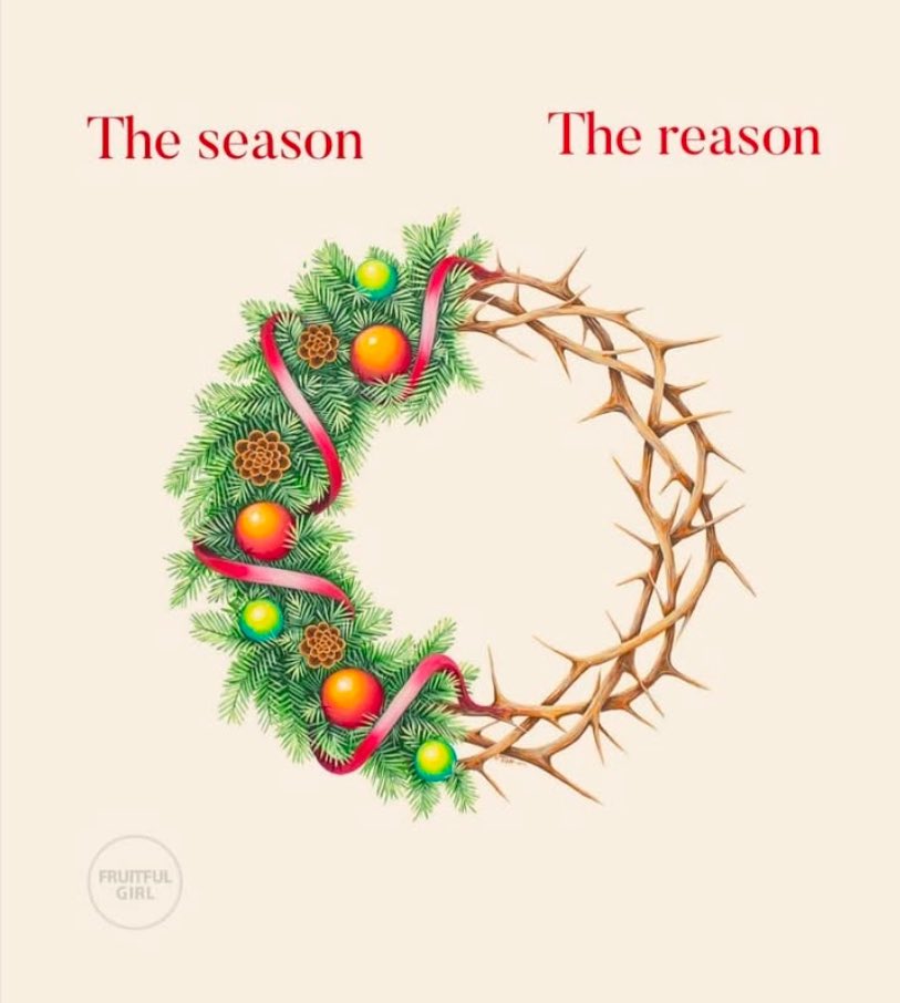 TereThomask's tweet photo. 🎄🎄🎄🎄 https://t.co/Y7yXVGHeQ4